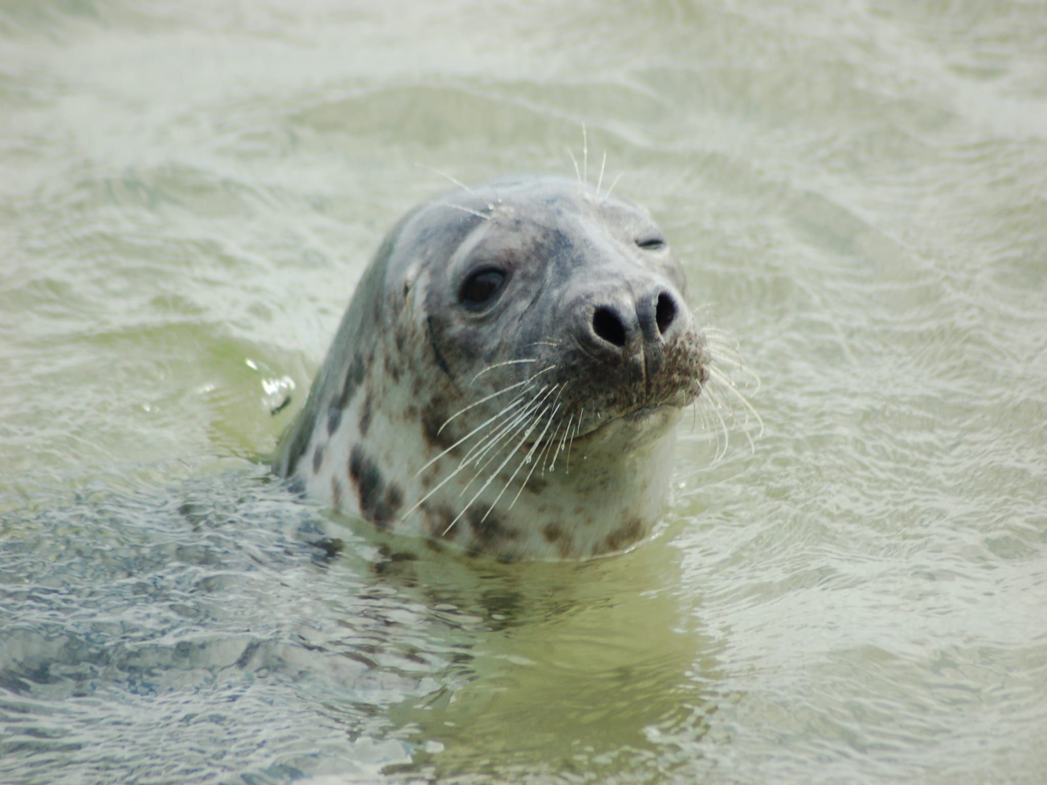 Sfeerbeeld van Kustpark Texel 14 in De Koog