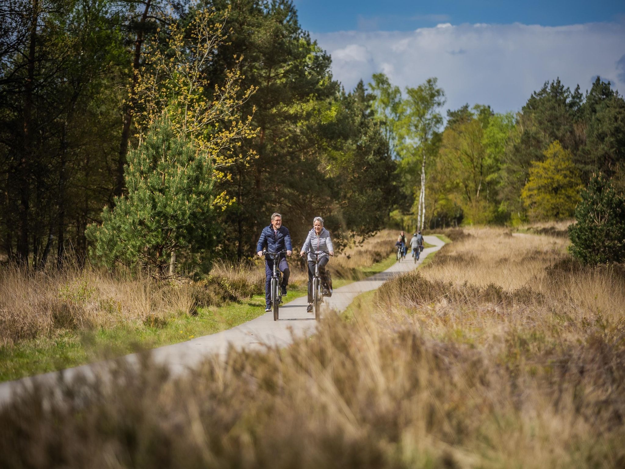 Vakantiepark De Rimboe & De Woeste Hoogte 20 in Hoenderloo - Foto 38 van 40
