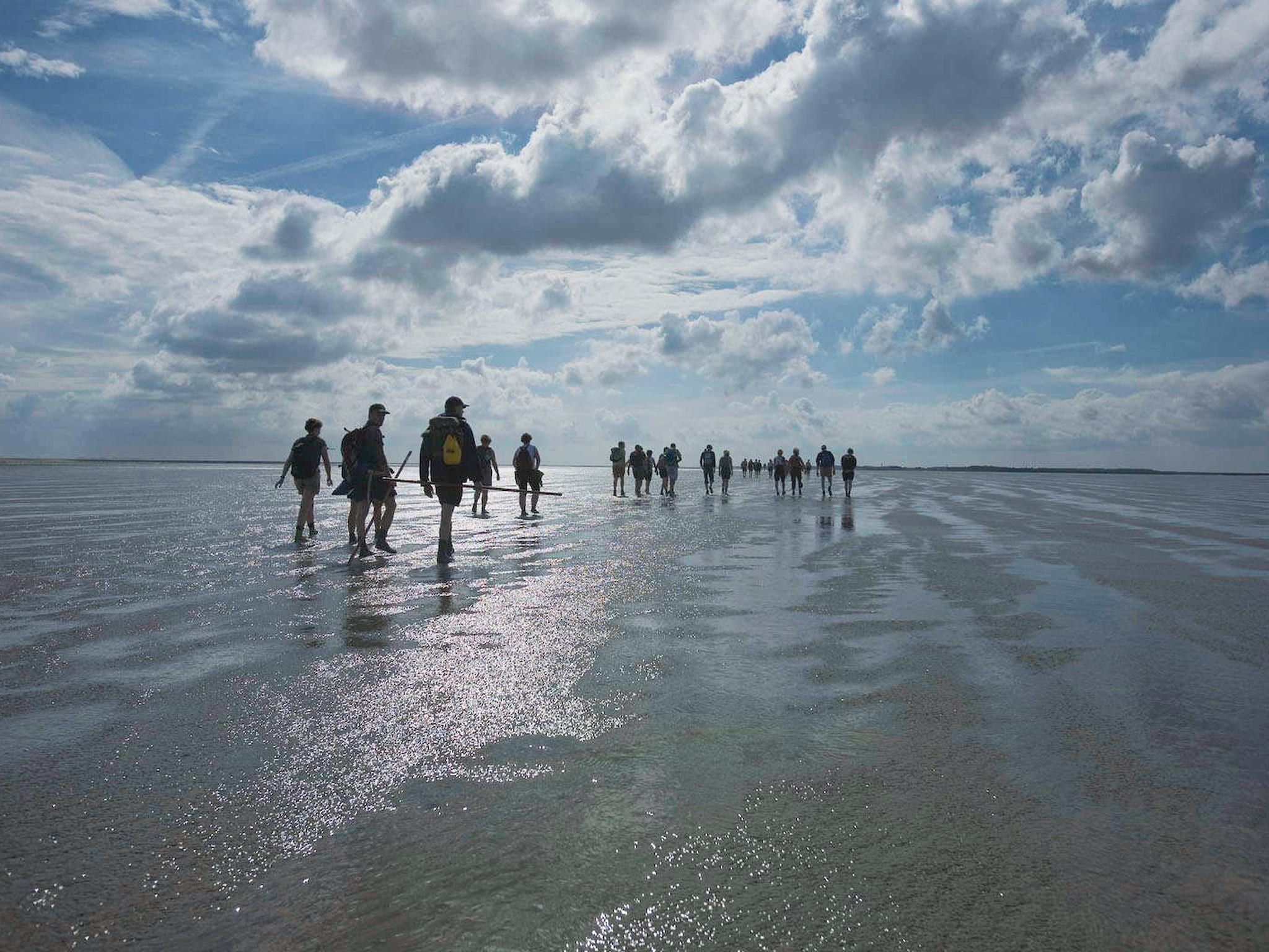De omgeving van Vakantiepark Emslandermeer 13 in Vlagtwedde