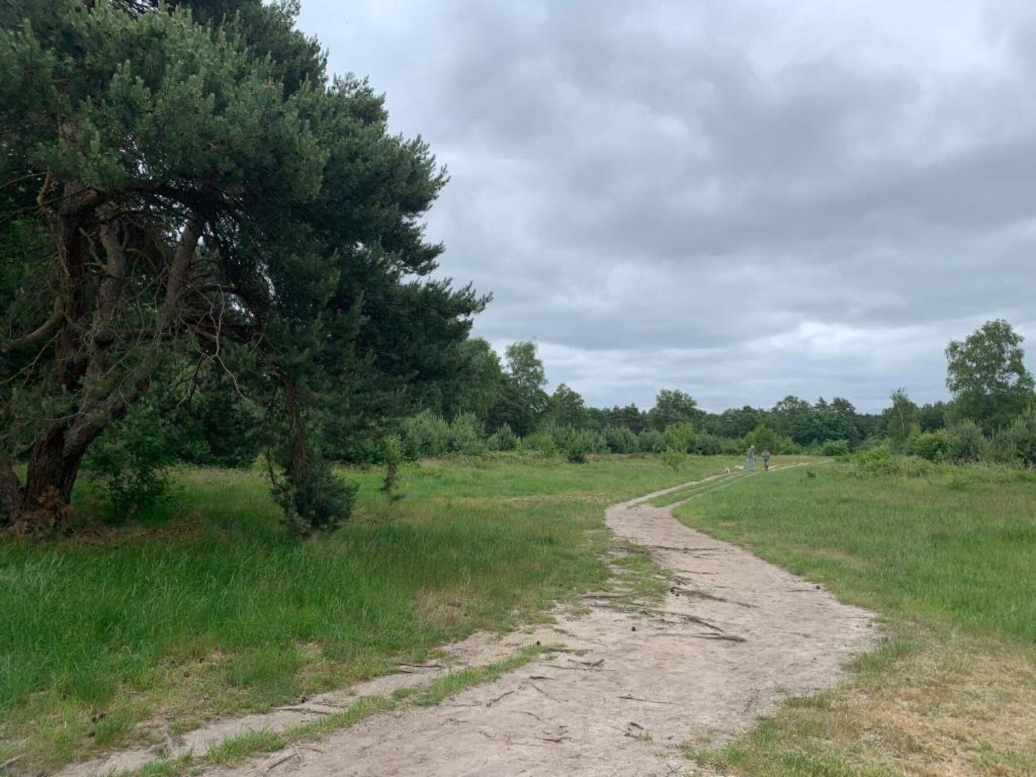 De omgeving van De Veluwse Hoevegaerde 1 in Putten