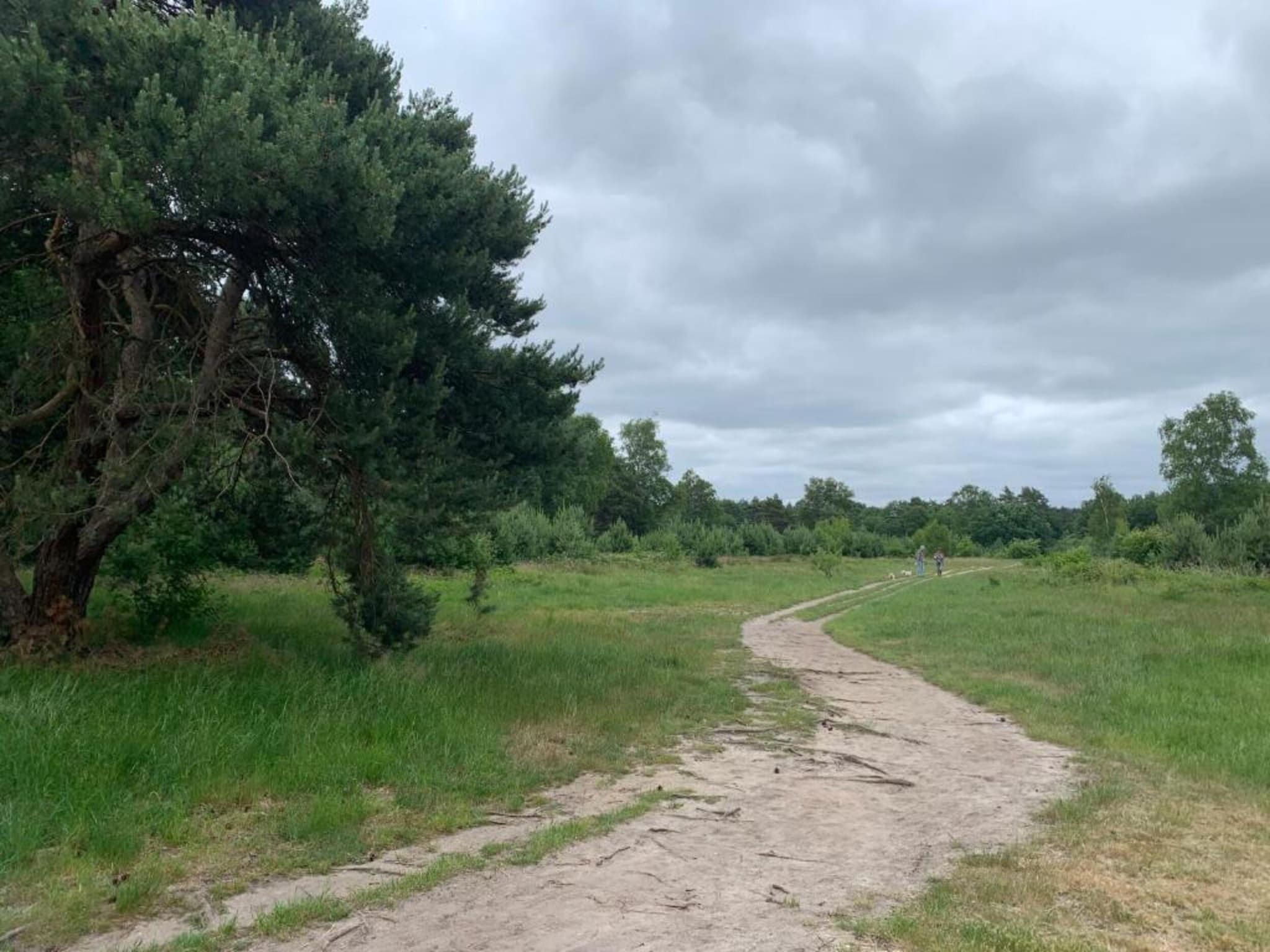 De omgeving van De Veluwse Hoevegaerde 3 in Putten