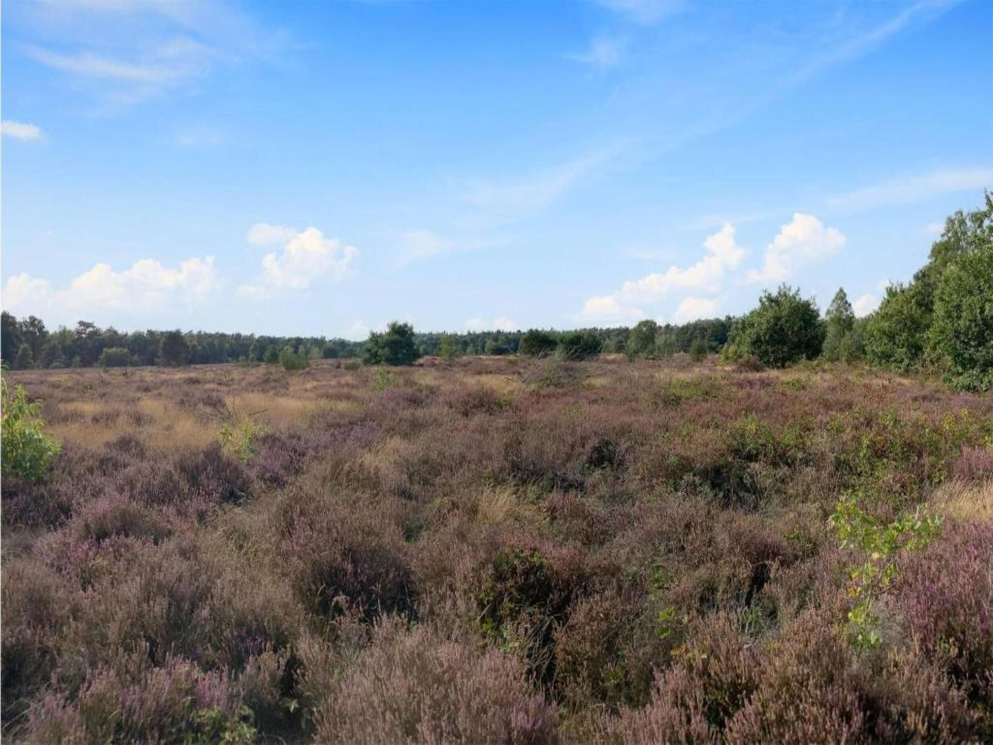De omgeving van De Veluwse Hoevegaerde 3 in Putten