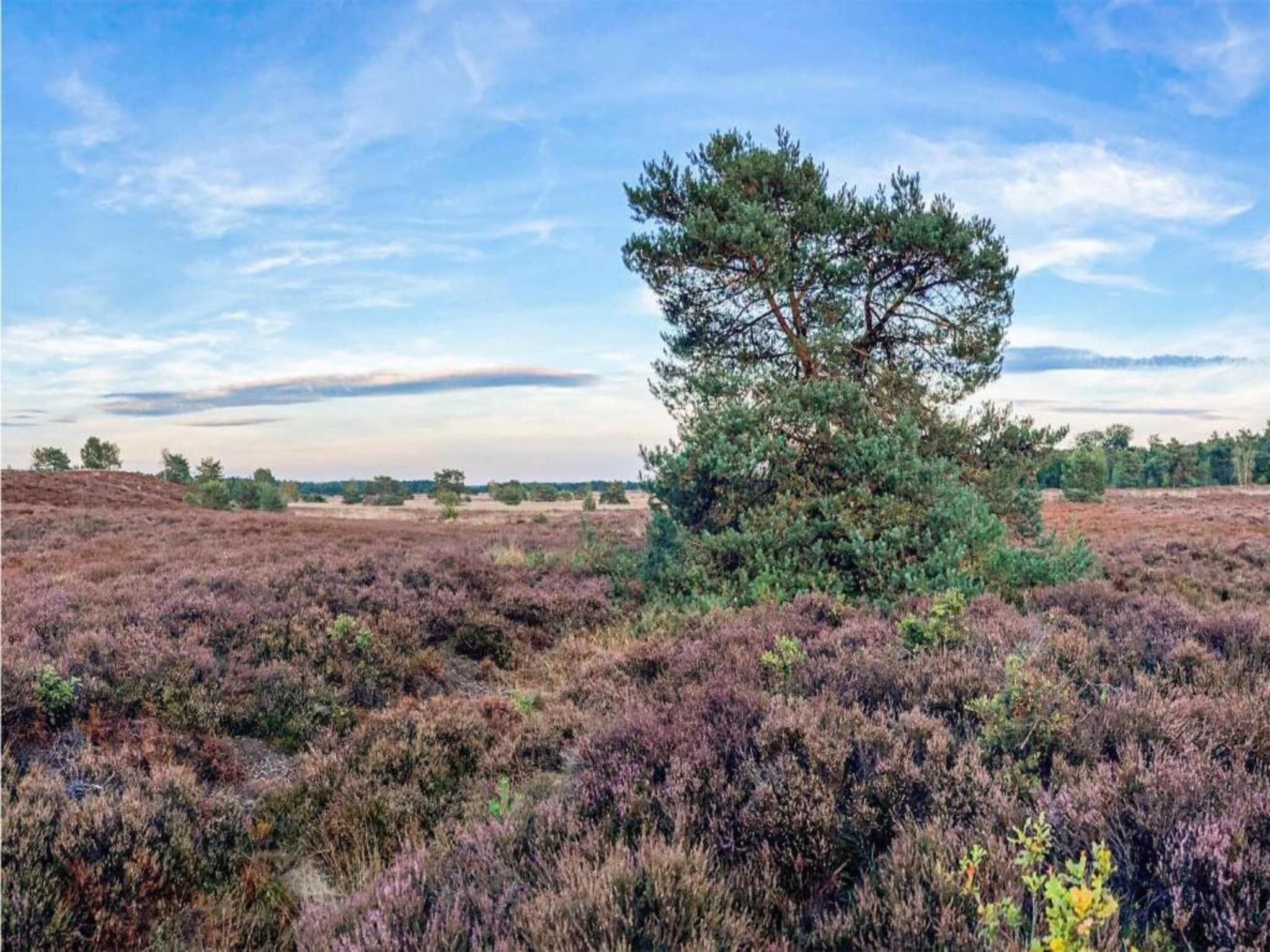 De omgeving van De Veluwse Hoevegaerde 3 in Putten