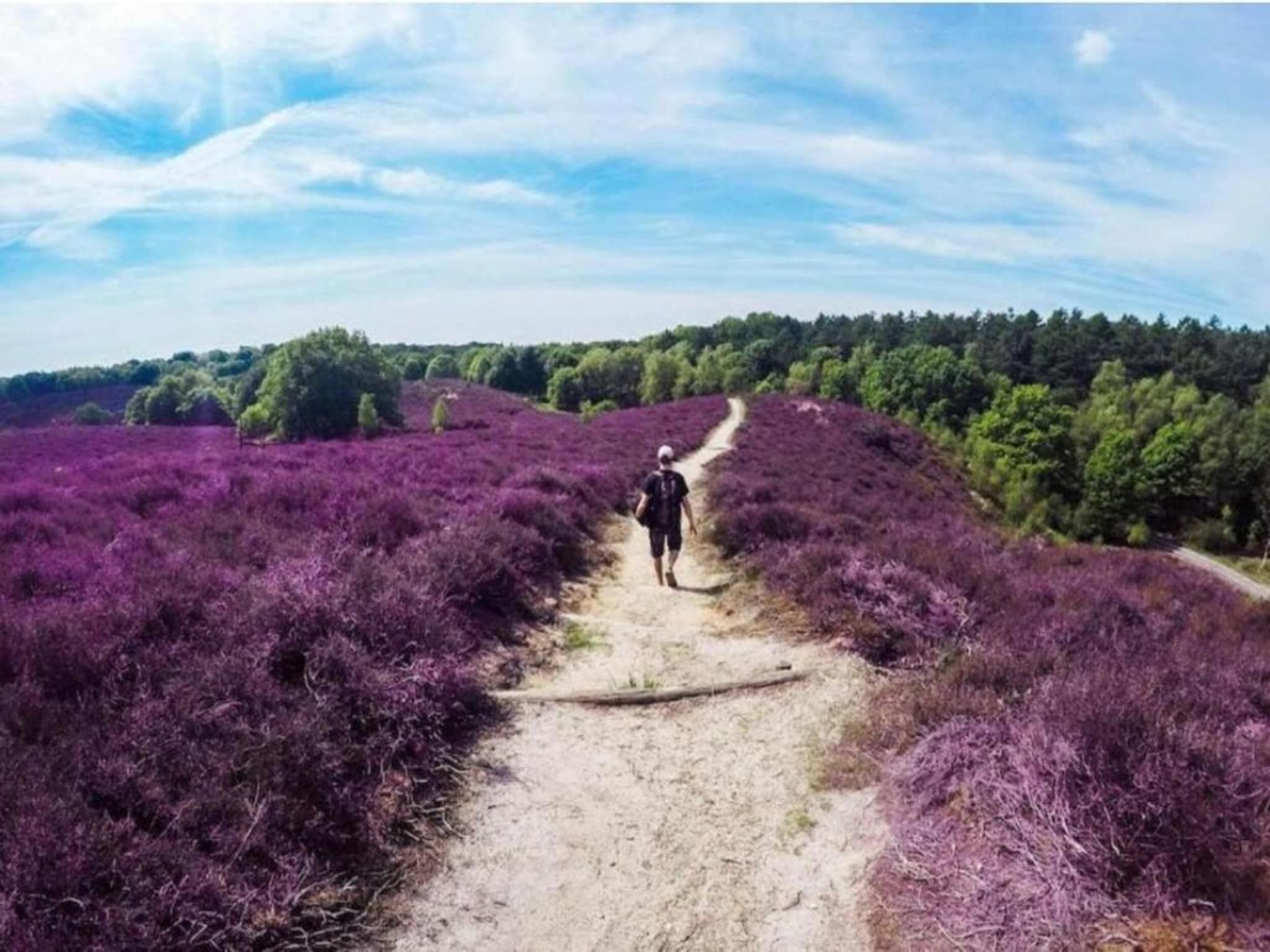 De omgeving van De Veluwse Hoevegaerde 3 in Putten