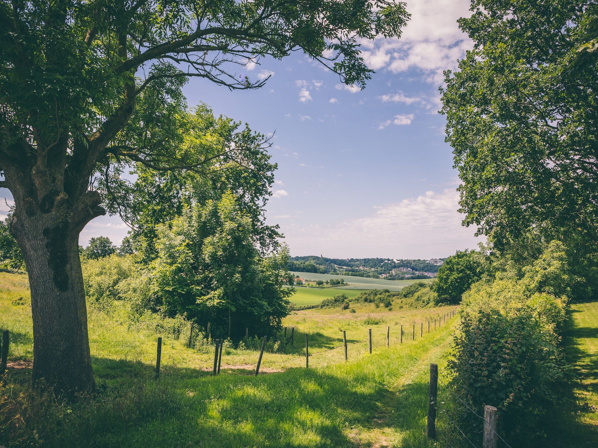 De omgeving van Bungalowpark Schin op Geul 15 in Walem