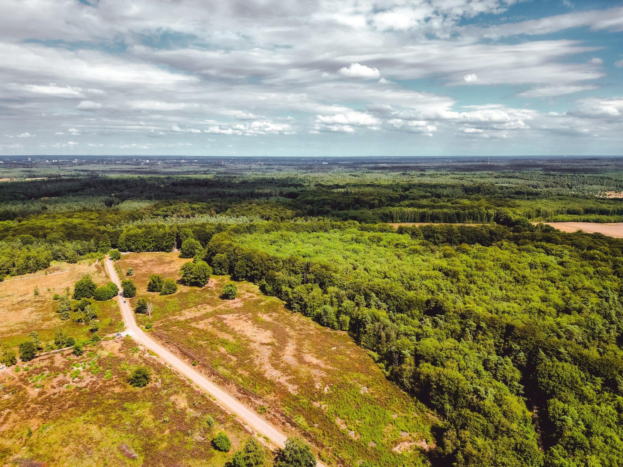 De omgeving van Bospark de Schaapskooi 9 in Wissel/Epe
