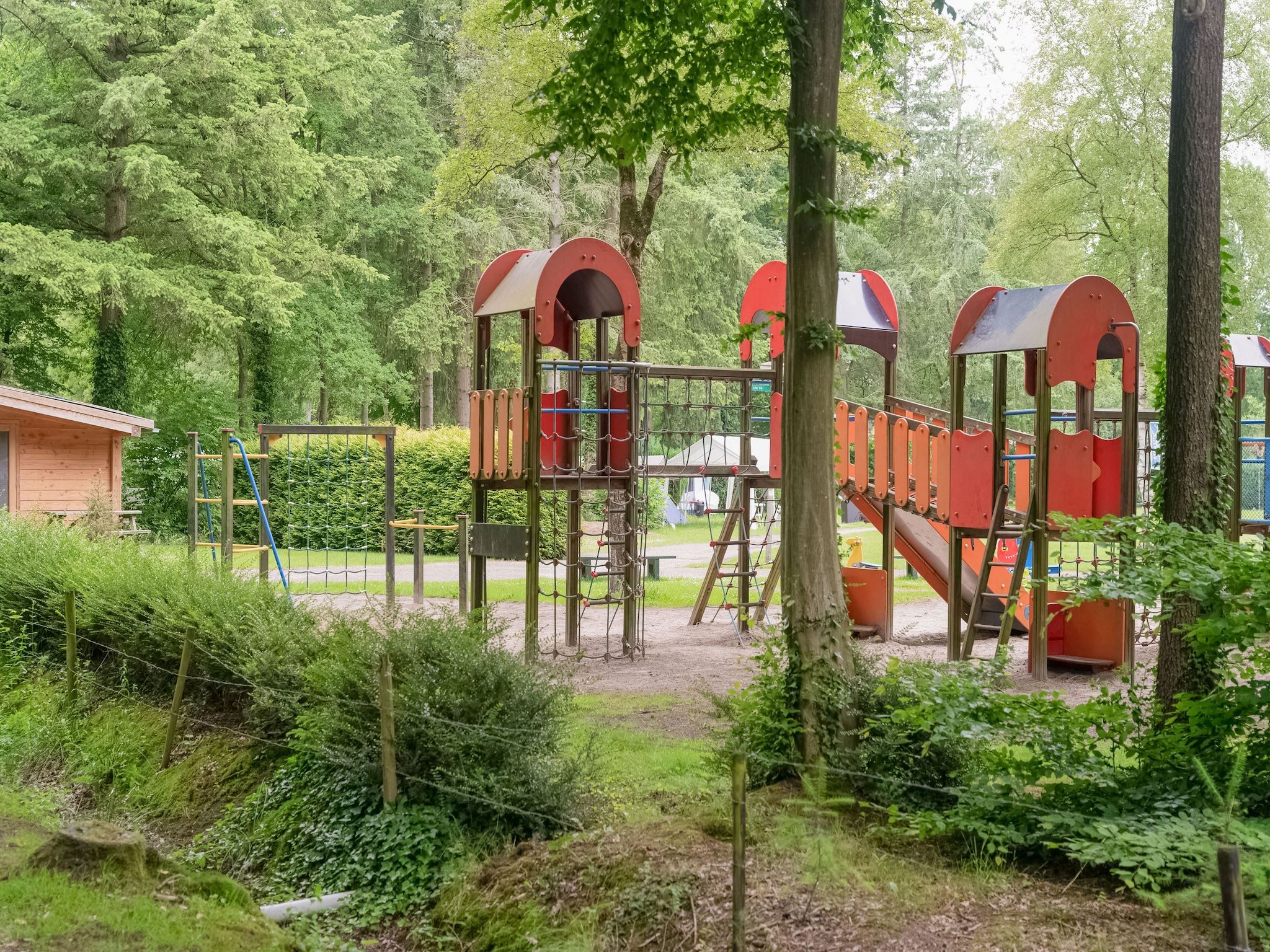 De tuin van Chalet in Vledder in Vledder