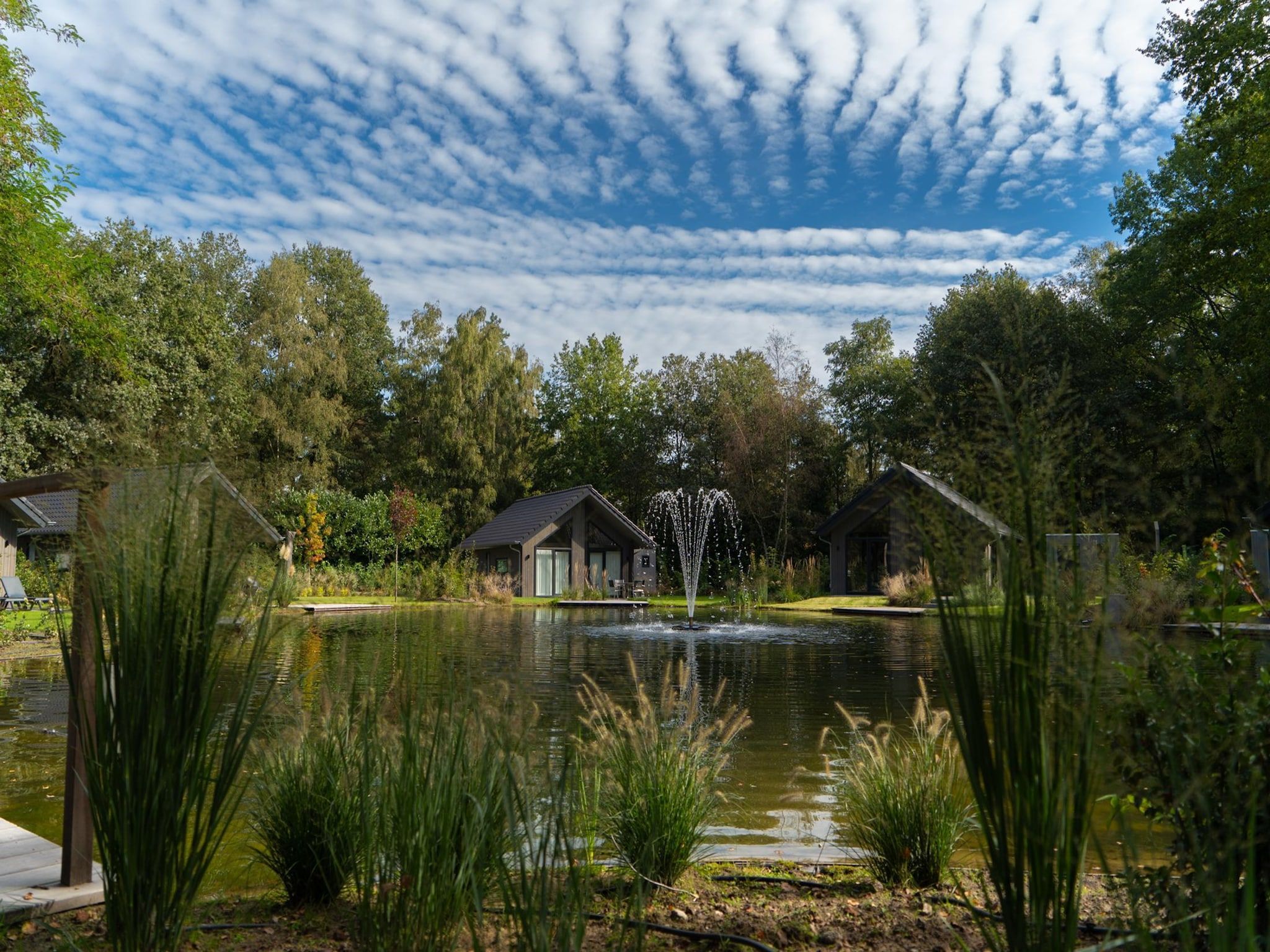 Het uitzicht vanaf Vakantiepark Latour 3 in Oirschot