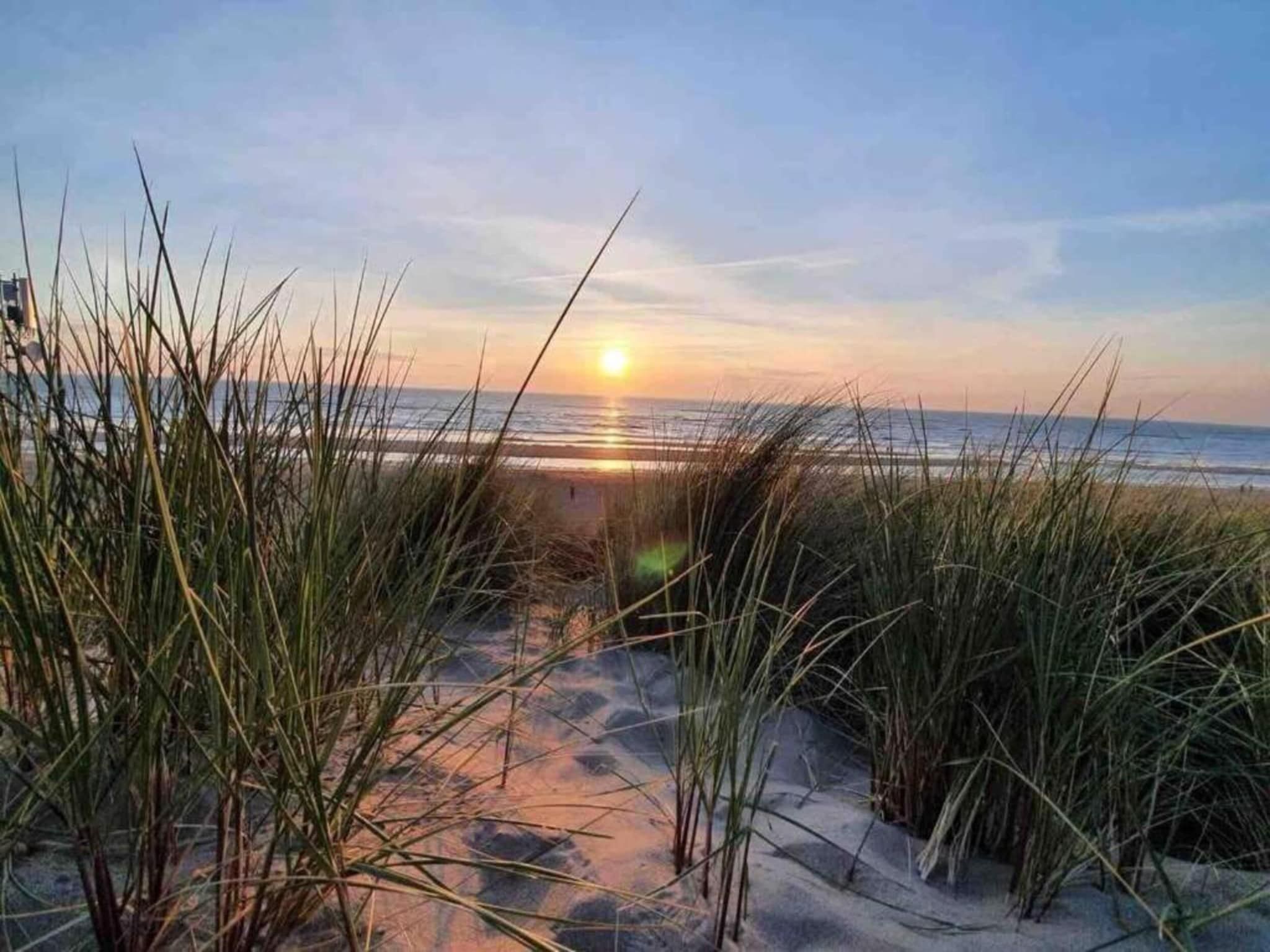 De omgeving van Calm Breeze in Noordwijkerhout