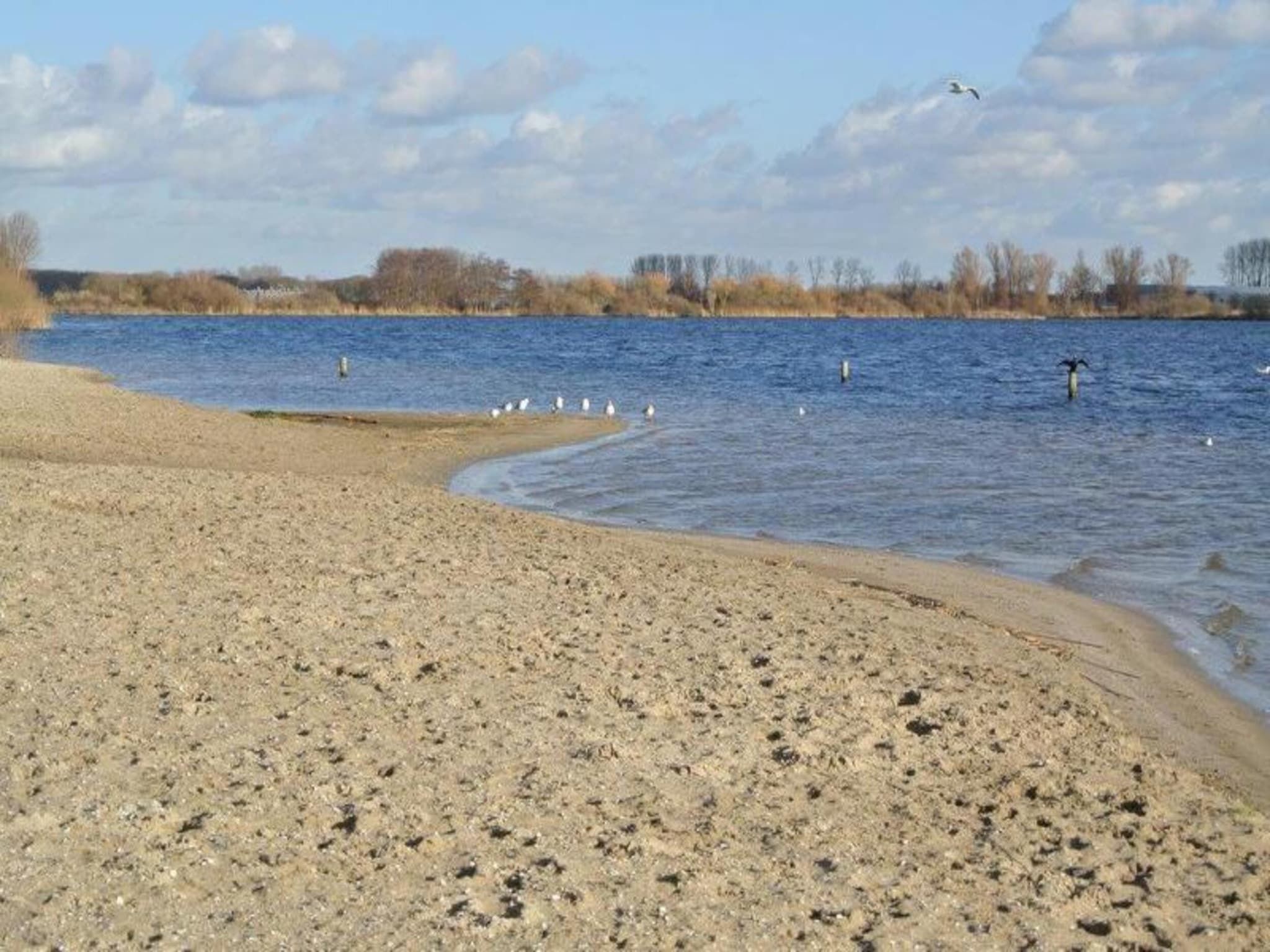 De omgeving van Calm Breeze in Noordwijkerhout