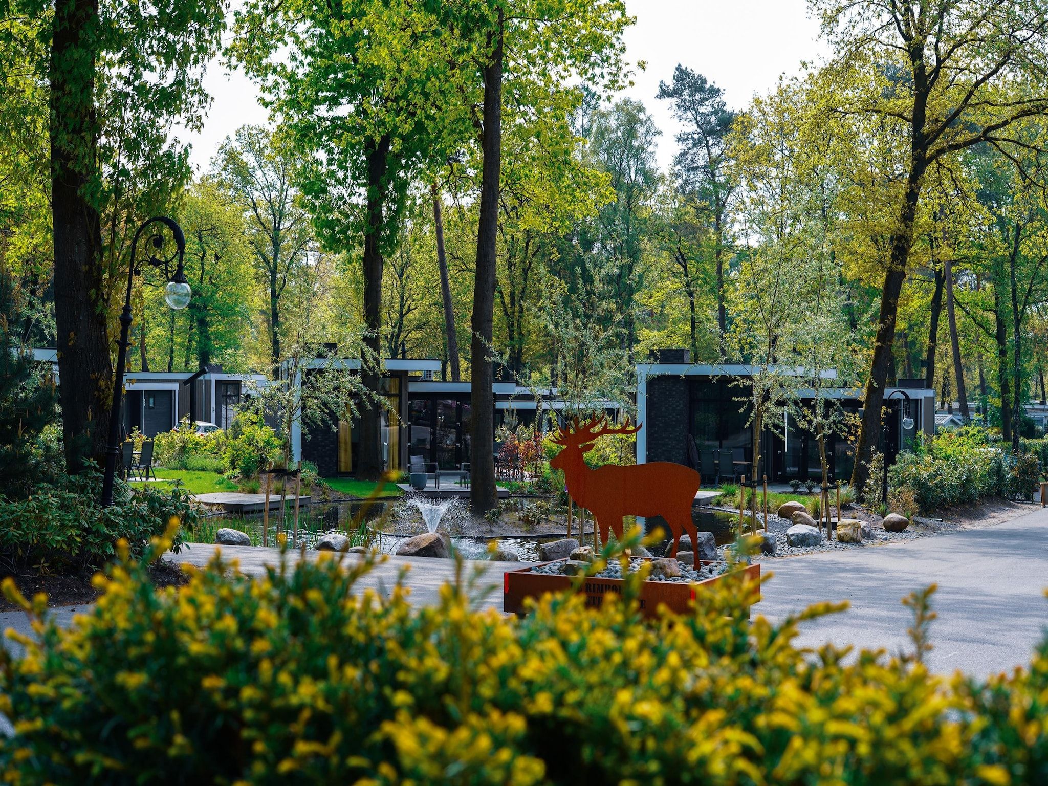 Parkfaciliteiten bij Vakantiepark De Rimboe & De Woeste Hoogte 22 in Hoenderloo
