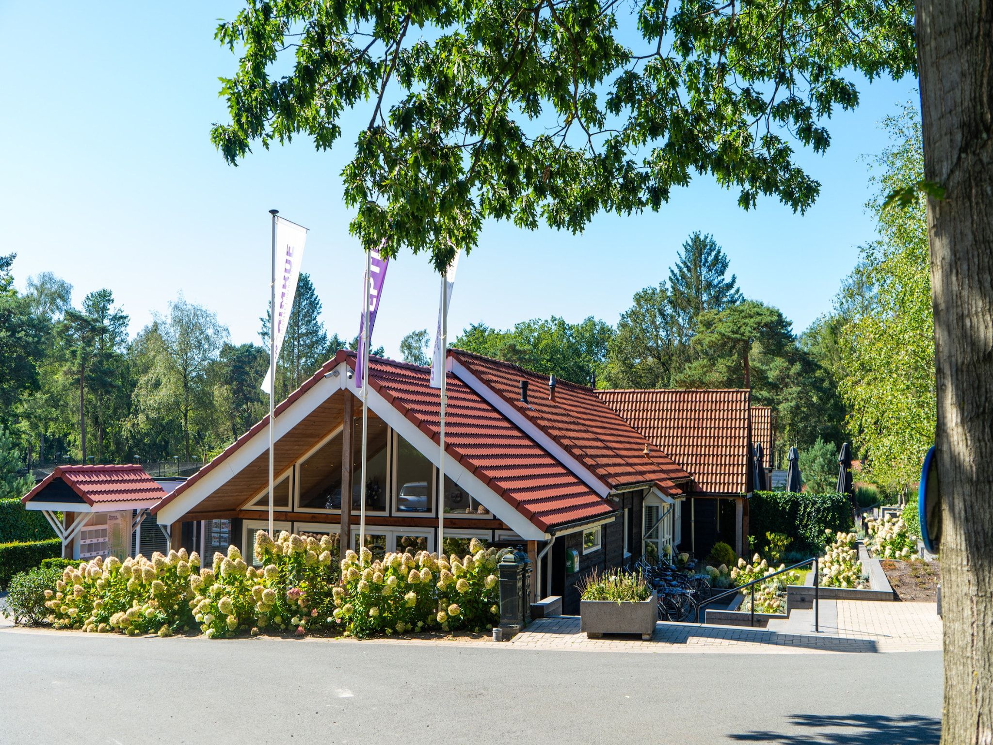 Parkfaciliteiten bij Vakantiepark De Rimboe & De Woeste Hoogte 22 in Hoenderloo