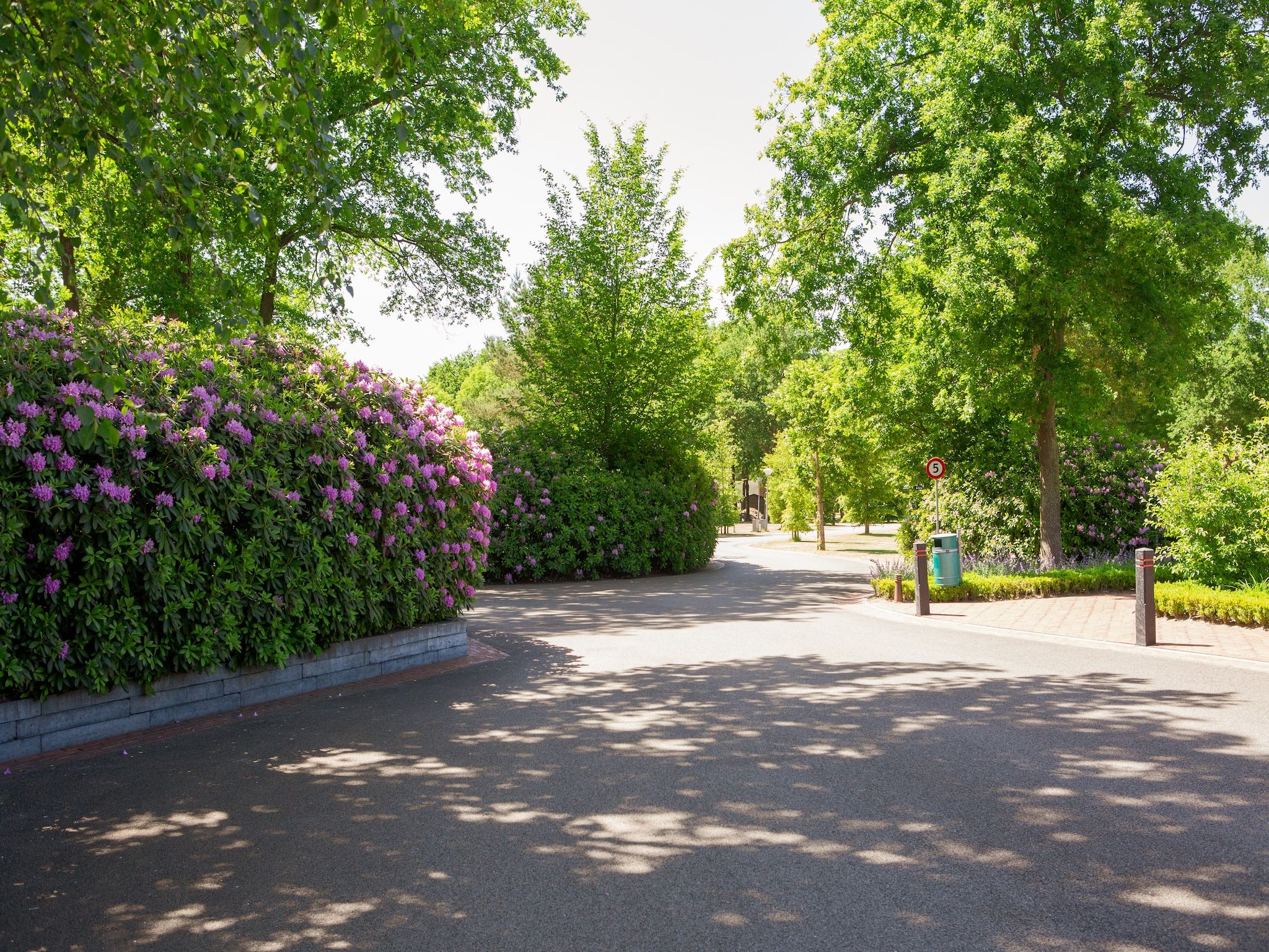 Sfeerbeeld van Vakantiepark Latour 1 in Oirschot