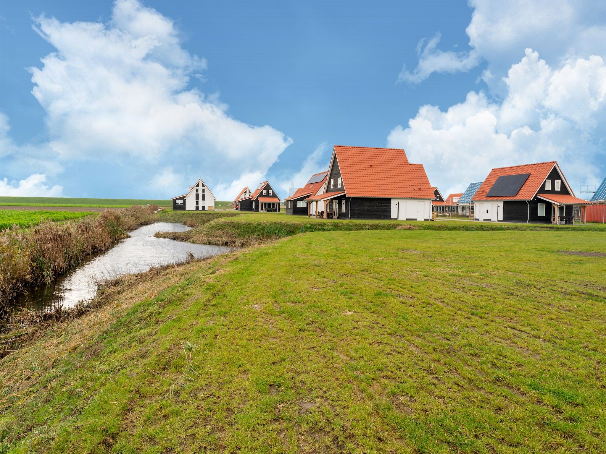 De tuin van De Kokmeeuw Huis Nr 11 in Scherpenisse