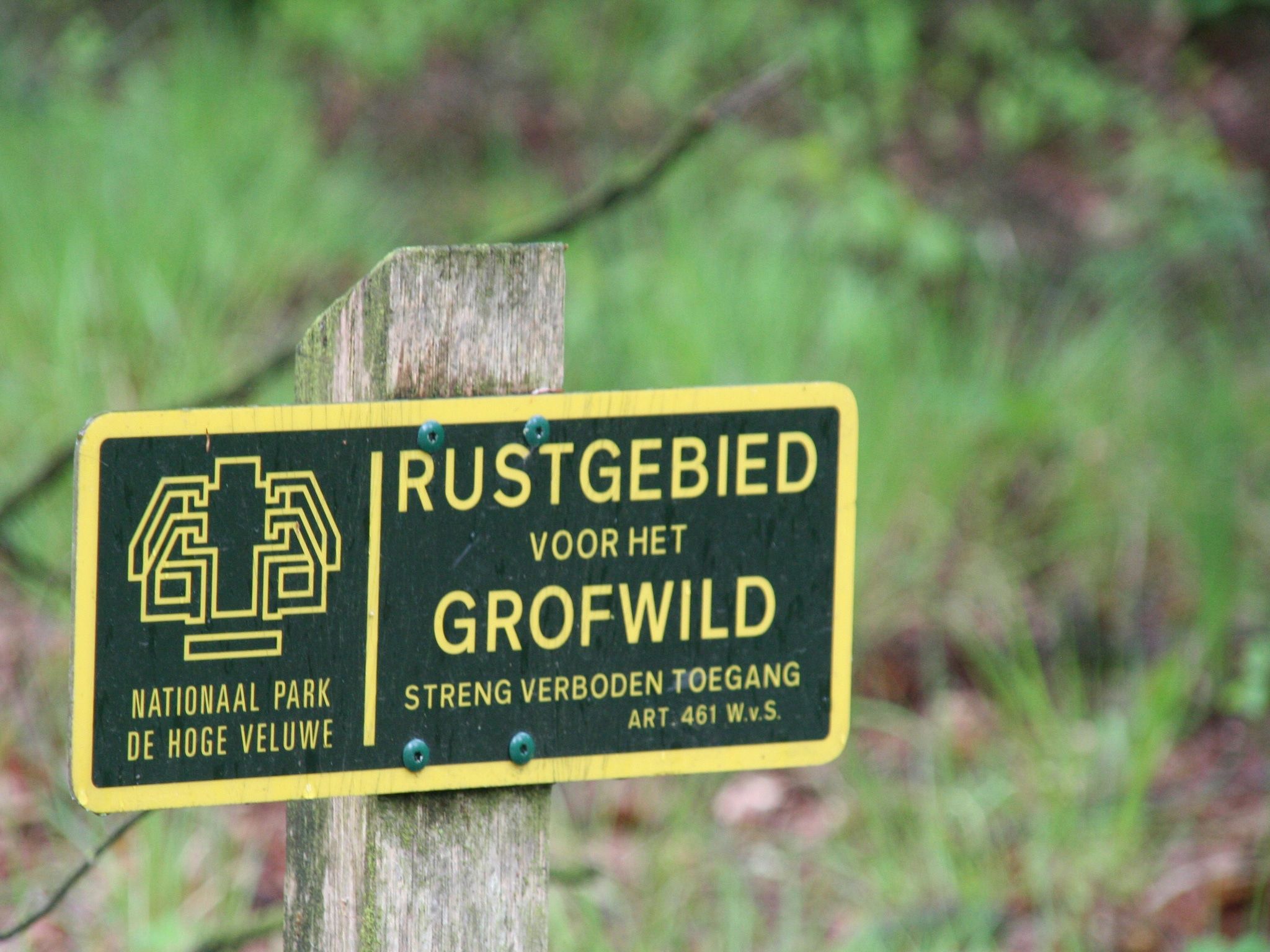 De omgeving van De Veluwse Eekhoorn in Garderen