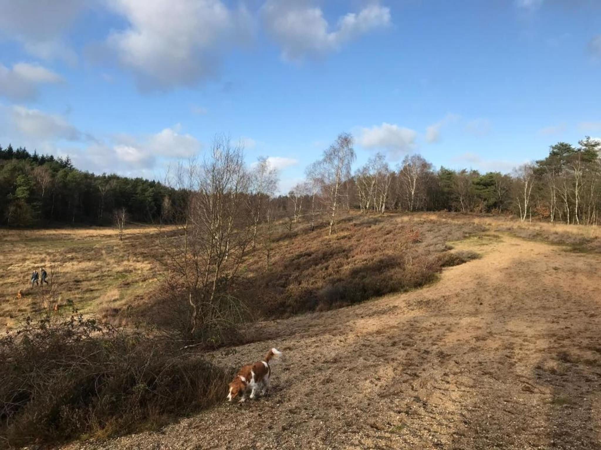 De Veluwse Eekhoorn in Garderen - Foto 24 van 38