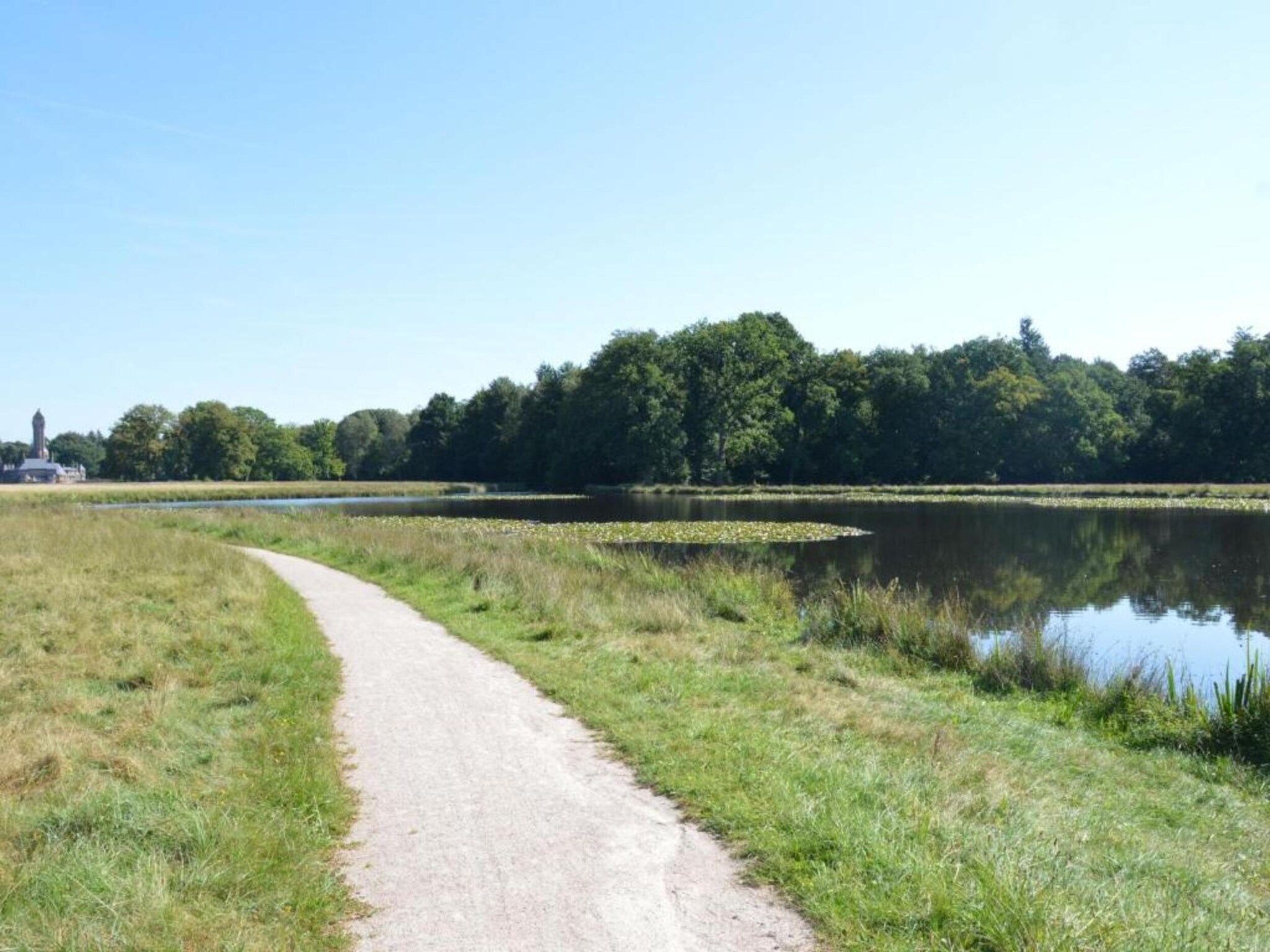 De Veluwse Eekhoorn in Garderen - Foto 27 van 38
