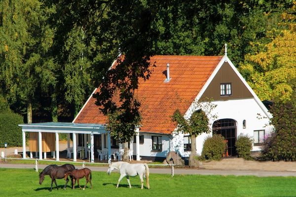 Buitenkant - Chalet in Nederland met Privétuin in Ootmarsum (1)