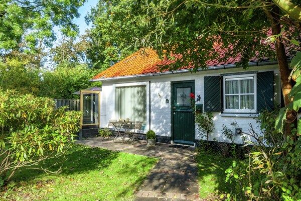 Buitenkant - Prachtig vakantiehuis Zeeroos in Zeeland in Koudekerke-Dishoek (1)