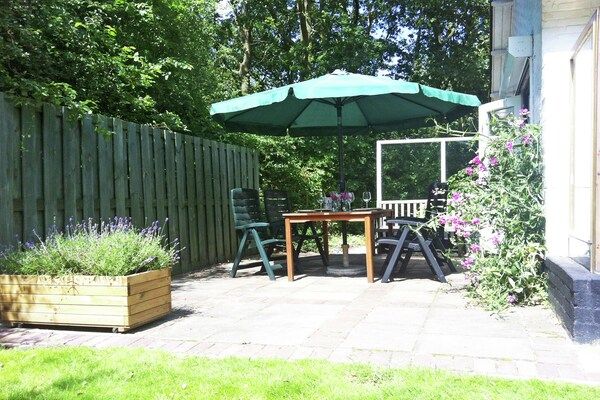 Terras - Prachtig vakantiehuis Zeeroos in Zeeland in Koudekerke-Dishoek (5)