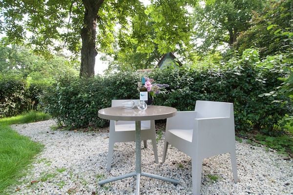 Terras - Vakantiehuis in Bergen bij het Strand in Bergen (5)