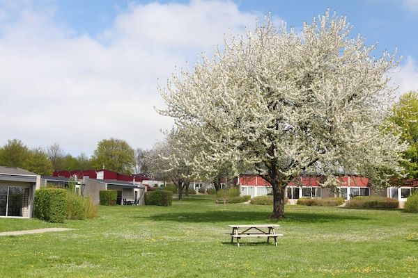 Tuin - Bungalow nabij Valkenburg in Walem (4)