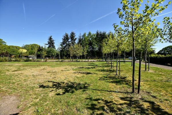Uitzicht - Vakantiehuis in Eerbeek bij Veluwe in Eerbeek (4)