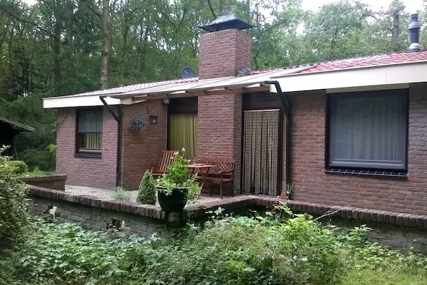 Buitenkant - Vakantiehuis Zorgvlied bij Drents-Friese Wold in Zorgvlied (1)