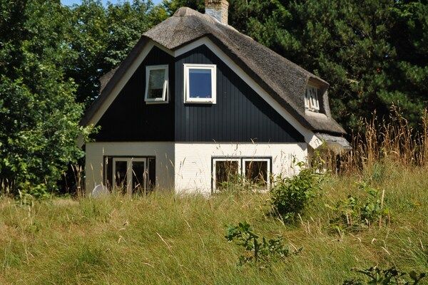 Buitenkant - Luxe villa aan de duinen in De Cocksdorp-Texel (1)