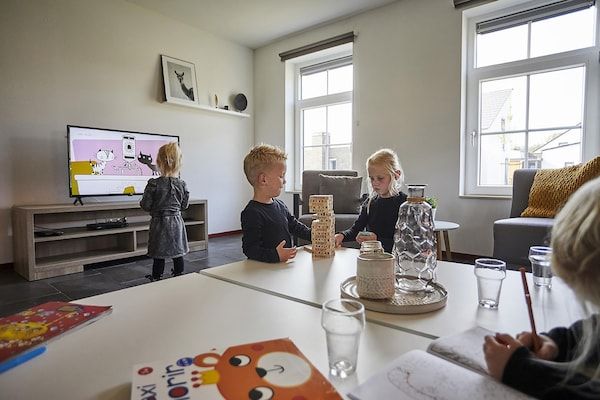 Woonkamer - Boerderij in Limburg met Sauna & BBQ in Roggel (2)