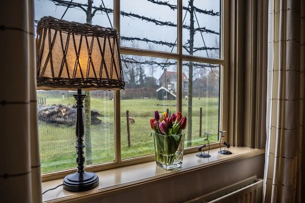 Sfeer - Verblijf bij Oranjezon Duinen in Vrouwenpolder (2)