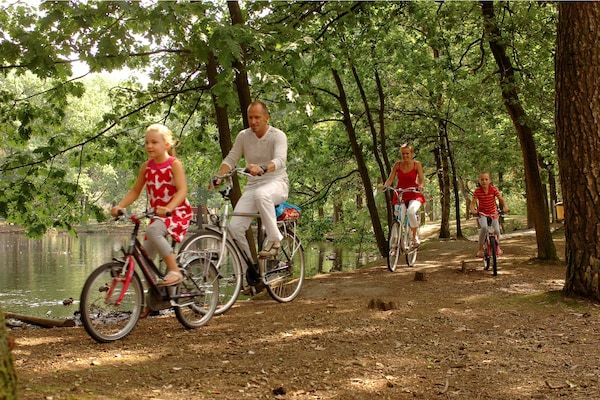 Park - Chalet nabij Eindhoven in groene omgeving in Mierlo (5)