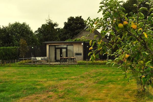 Buitenkant - Rustig chalet dichtbij Norg in Haulerwijk (1)