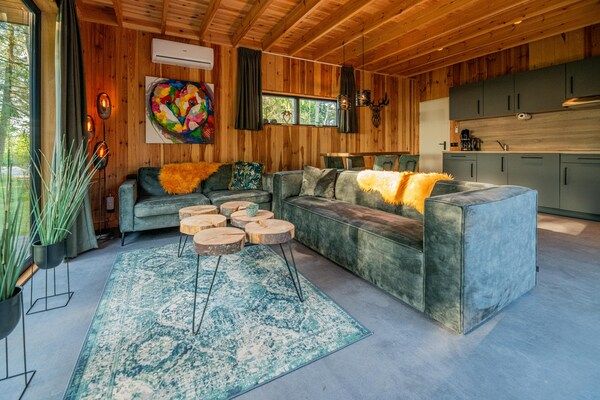 Woonkamer - Luxe wellnesslodge voor een stel in Dalerveen (1)