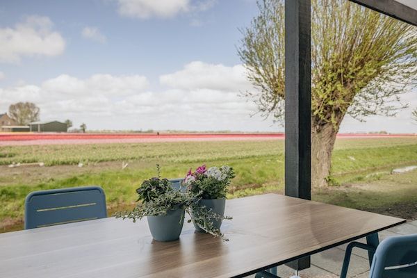 Terras - Lodge aan Markermeer bij Hoorn in Wijdenes (5)