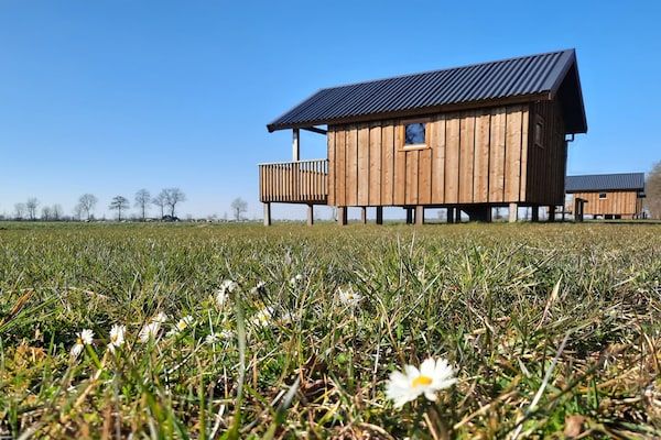 Buitenkant - Lodge aan de Weiden met Mooie Veranda in Ruinerwold (1)