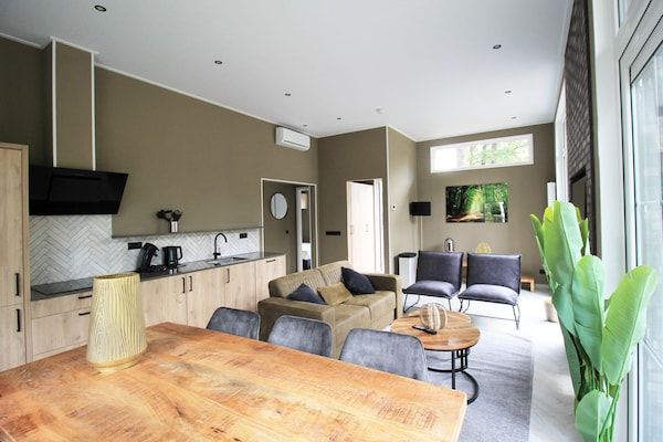 Woonkamer - Modern huisje met uitzicht op het meer op de Veluwe in Hoenderloo (4)