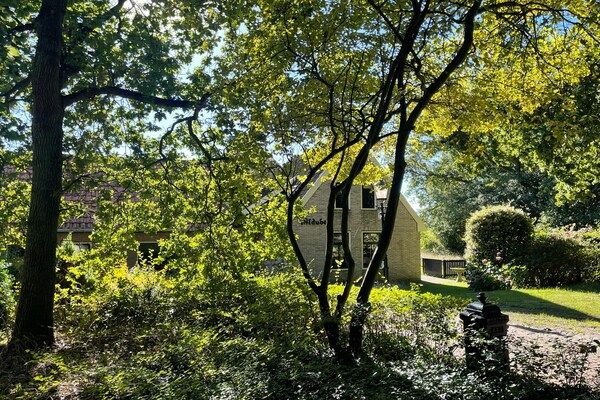 Tuin - Vakantiehuis aan nationaal park Dennen in Den Burg (1)