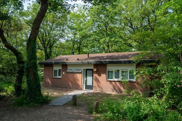 Buitenkant - Appartement in Nederland in Putten (1)