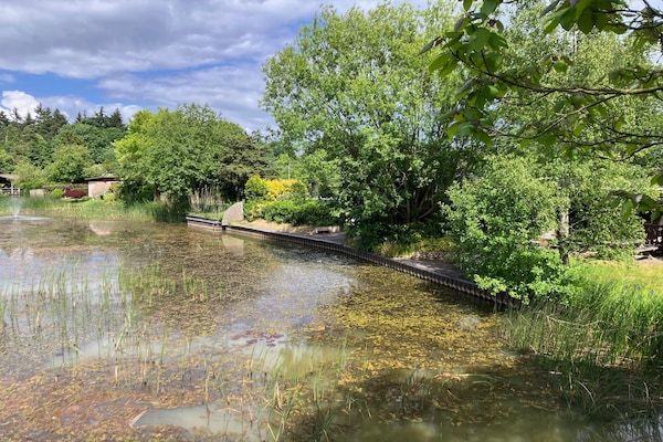 AreaSummer1KM - Knus chalet in een rustige omgeving met vijver in Stegeren (5)