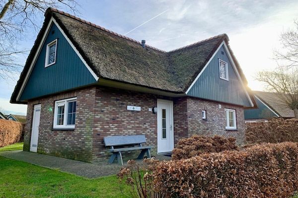 Buitenkant - Vakantievilla vlakbij bos, strand met sauna in Sint Maartenszee (1)