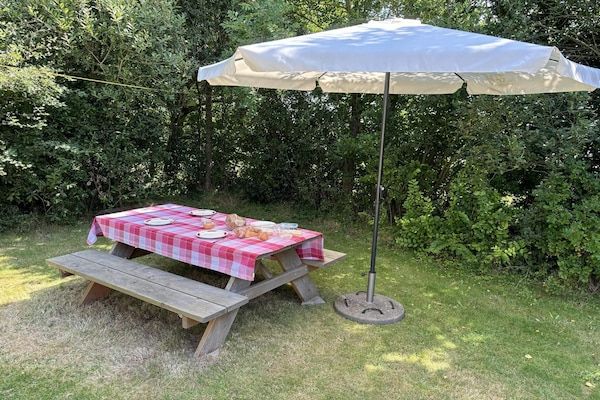 Tuin - Gerenoveerde bungalow met tuin voor gezinnen in Sint Maartenszee (4)