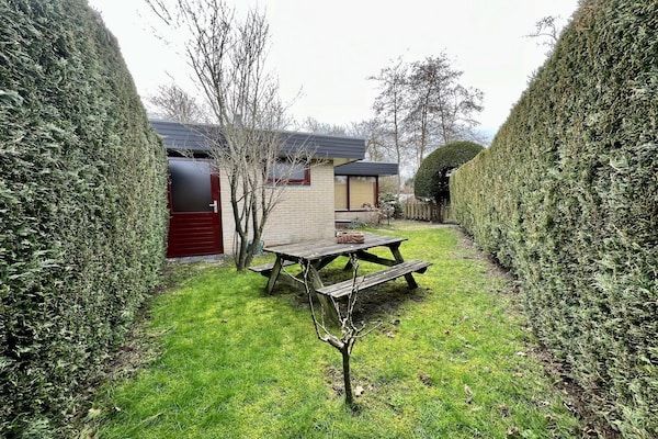 Tuin - Bungalow voor 4 personen in Wildrijk in Sint Maartenszee (4)