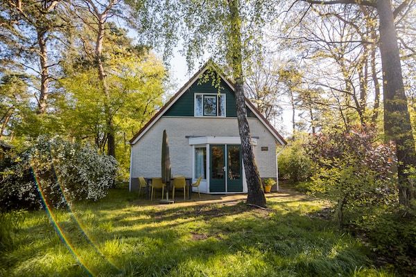 Buitenkant - Bosvilla in Markelo met Zonnige Tuin in Markelo (1)