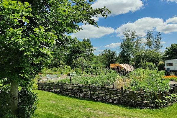 Tuin - Hut in de natuur bij wandelpaden in Scherpenzeel (FR) (4)