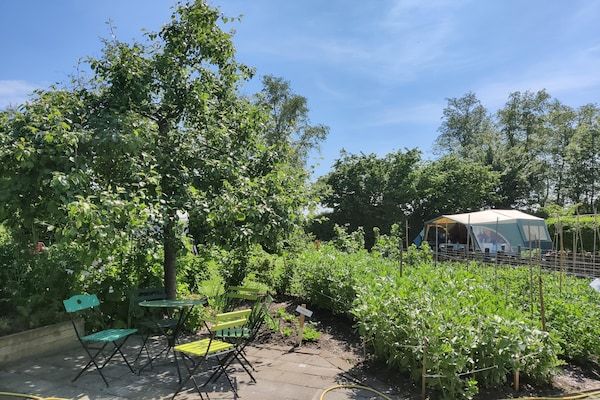 Tuin - Vakantiehuis in Friesland met Kasuitstraling in Scherpenzeel (FR) (1)