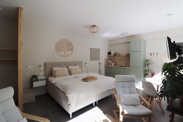 Woonkamer - Modern gestyled studio appartement in Betgummole (4)