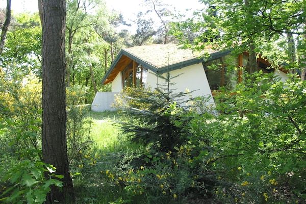 Buitenkant - Bungalow in Herperduin met eigen tuin in Herpen (1)