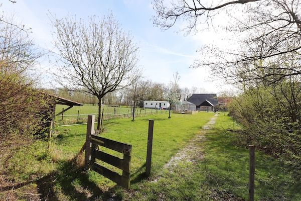 Tuin - Gezellig chalet met uitzicht over de landerijen in Drachten (1)