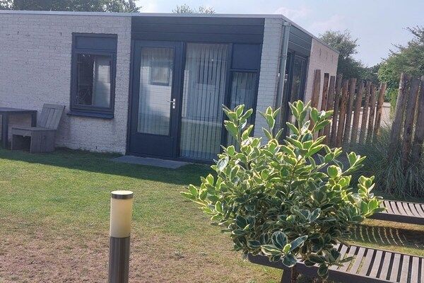Untagged - Prunus 7 Klepperstee Ouddorp in ouddorp (2)